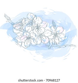 hand-drawn spring blossom