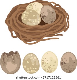 Ilustraciones de primavera de Pascua dibujadas a mano de un nido de pájaro con huevos, huevos separados y cáscara de huevo agrietada