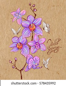 Hand-drawn spring flowers daffodils and orchids on kraft paper.