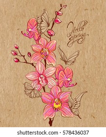 Hand-drawn spring flowers daffodils and orchids on kraft paper.