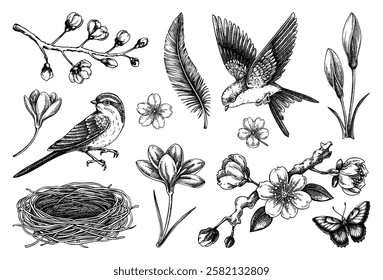 Hand-drawn spring sketches. Flying birds, sakura flowers, bird house, saffron vector illustrations. Easter design elements. NOT AI generated