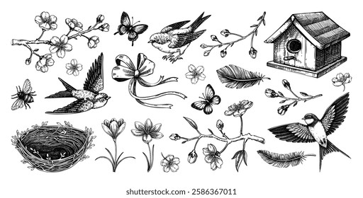 Hand-drawn spring sketches. Flying birds, sakura flowers, bird house, saffron vector illustrations. Easter design elements. NOT AI generated