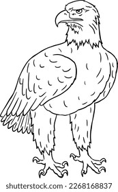 Hand-drawn standing Bald Eagle with head turned