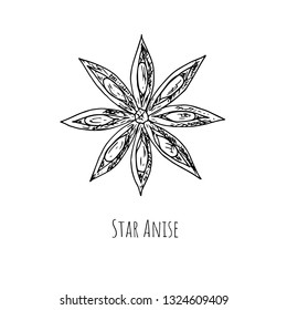 Hand-drawn star anise. Vector cartoon illustration. Isolated object on a white background.