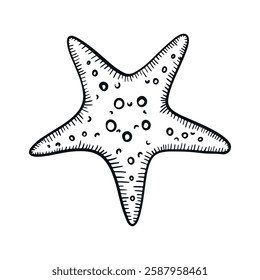 Hand-drawn starfish engraving. Sea star engraved in vintage style. Line art nautical collection. Black and white marine design.