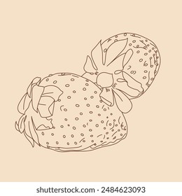 Hand-drawn strawberries outline vector drawing