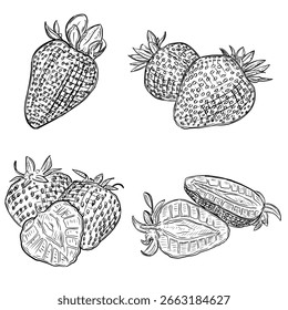 Ilustración vectorial de fruta de fresa dibujada a mano 