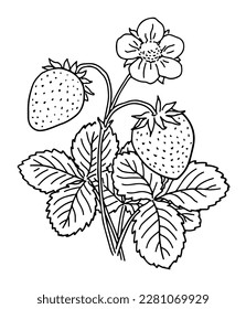 Hand-drawn strawberry plant with a flower and fruit