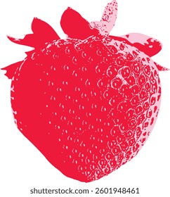 A hand-drawn strawberry sketch, blending realism with a graphic, textured approach to showcase freshness.