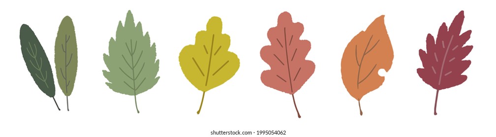 Hand-drawn style illustration of autumn leaves
Image of autumn