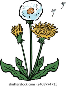 Hand-drawn style illustration of dandelion and fluff