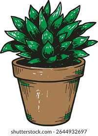 A hand-drawn style illustration of a green succulent plant in a brown terracotta pot.