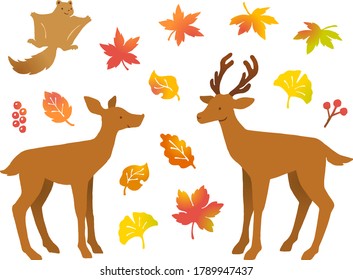 Hand-drawn style illustration set of a pair of deer, flying squirrel, various autumn leaves