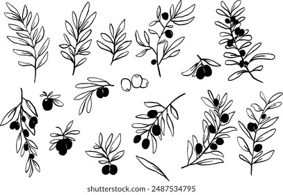 Hand-Drawn Style Illustrations of Olive Branches and Olives in Black and White Line Art