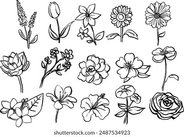 Hand-Drawn Style Illustrations of Various Flower Blooms in Black and White Line Art