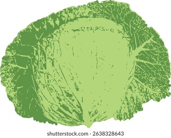 Hand-drawn style vector of iceberg lettuce. Botanical vegetable design with bold leaf lines and natural form. Great for farm market graphics, eco product packaging, or recipe illustrations.