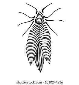 Hand-drawn stylized bee. Black and white image isolated on white background. Idea for a seamless pattern, children's art, fabric.