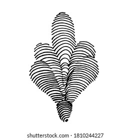 Hand-drawn stylized maple seeds. Black and white image isolated on white background. Idea for a seamless pattern, children's art, fabric.