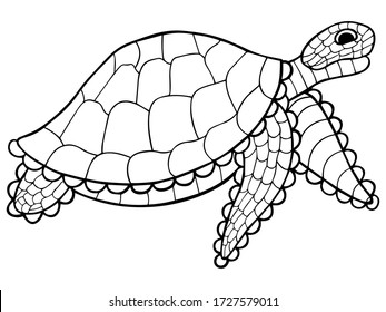 Hand-drawn stylized turtle with zentangle ornament. Reptile animal with shell for coloring book, tattoo, logo. Vector.