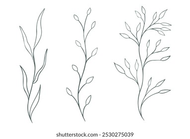 Hand-drawn subtle clipart with leaves branches in a minimalist line art style. Decorative botanical elements for nature-themed projects, wedding designs, or botanical art