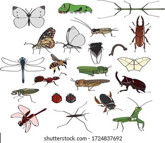 Insect Set Colorful Low Poly Bug Stock Vector (Royalty Free) 422960455