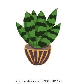 Hand-drawn succulent in pot in doodle style. Exotic and Tropical Plants - Cute design element for children's room, textile, fabric, wallpaper.