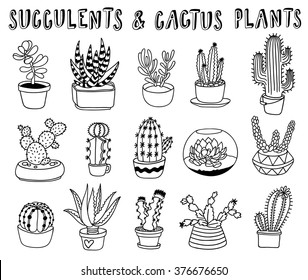 hand-drawn succulents and cactus doodle set