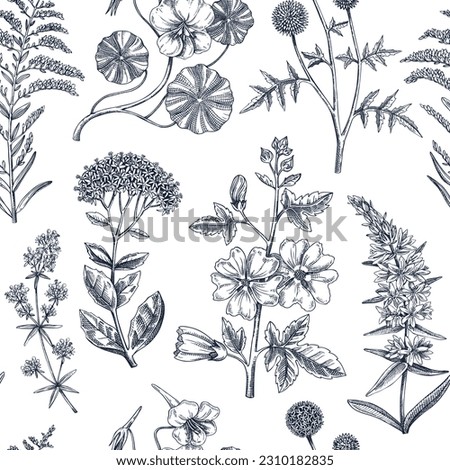 Hand-drawn summer background. Garden flowering plants design in sketch style. Floral seamless pattern. Botanical illustrations for textile, fabric, packaging. Hibiscus, sedum, mallow, primrose drawing