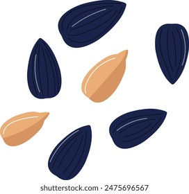 Handdrawn sunflower seeds illustration isolated white background. Black brown seed food snack drawing. Cartoon healthy organic natural seeds graphic design