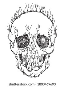 Hand-drawn surrealistic skull from branches