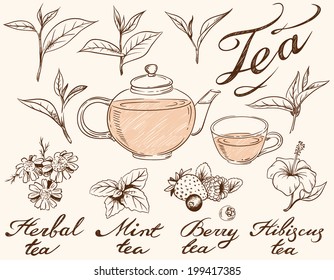 Hand-drawn tea collection 