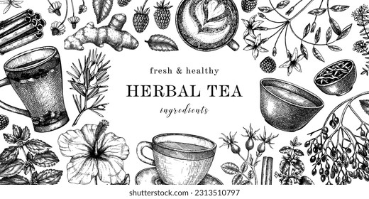 Hand-drawn tea drinks ingredients vintage banner. Vector sketches of teacups, herbs, flowers, and fruits vintage background. Herbal tea design for cafe or restaurant menus, banners, and packaging. 