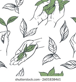 Hand-drawn tea leaves in hands.   Vector seamless pattern. 