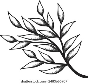 Hand-Drawn Textured Branch Sketch: Botanical Illustration with Leaves