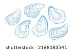 Handdrawn textured oysters set. Vector illustration isolated on a white background.