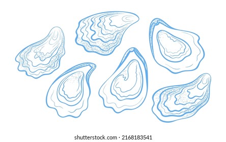 Handdrawn textured oysters set. Vector illustration isolated on a white background.