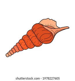 Hand-drawn tibia shell of engraved line. Design element for invitations, greeting cards, posters, banners, flyers and more.  Vector colorful illustration isolated on white background.