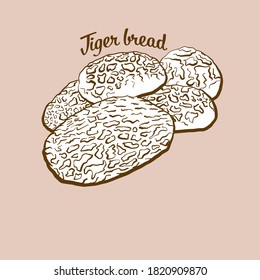 Hand-drawn Tiger bread bread illustration. Rice bread, usually known in Netherlands. Vector drawing series.