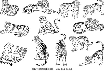 Hand-Drawn Tiger Ink Illustrations Collection. Vector illustration A stunning collection of hand-drawn tiger illustrations created with expressive ink strokes. Perfect for bold, artistic designs 