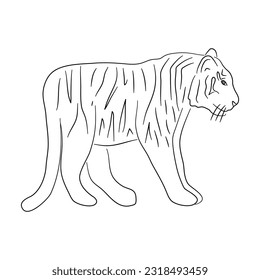 Hand-drawn Tiger. Sketch vector illustration. 