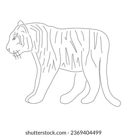 Hand-drawn Tiger. Vector editable stroke.