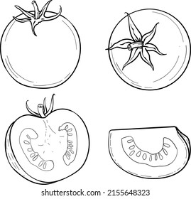 A hand-drawn tomato. A set of sketches with sliced tomatoes, a slice of tomato  tomatoes. The vector illustration is isolated on a white background.