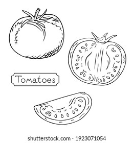 Hand-drawn tomatoes. Whole, half and slice. Sketch of a vegetarian food, a product at an agricultural market, an element for a label or poster. Vector engraving illustration.