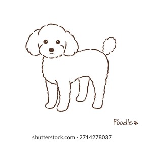 Desenhado à mão brinquedo poodle linha desenho_vetor ilustração
