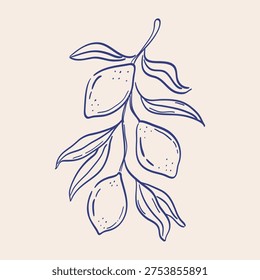 Hand-drawn tree branch of lemons with leaves. Mediterranean fruits line art silhouette. Sketch illustration of dolce vita food. Vector graphic