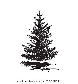 Hand-drawn tree, fir. Black and white realistic image, sketch painted with ink brush.. Vector illustration