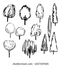 Hand-drawn trees set. Vector sketch illustration.
