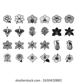Hand-drawn tropical flowers: orchids, rafflesia, hibiscus, roses, bougainvillea, pitcher plants. Vintage botanical art for tattoos, patterns, packaging, eco branding. Exotic, elegant, timeless.