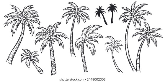 Hand-drawn tropical palm tree collection with exotic, beach, and surfing illustrations for graphic design, vector artwork, and coastal decor in a natural island environment. Monochrome outline style.