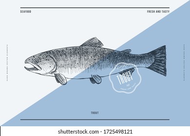 Hand-drawn Trout Vector Illustration. Sea Fish In Engraving Style On A Light Background. Design Element For Fish Restaurant, Market, Store, Flyer, Packaging, Label, Menu.